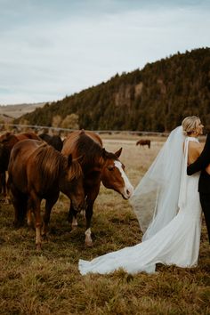 a bride and groom standing in front of horses