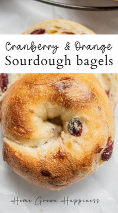 cranberry and orange sourdough bagels with text overlay