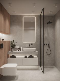 a bathroom with two sinks, a toilet and a shower