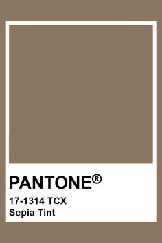 the pantone paint color is shown in brown