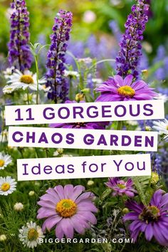 purple and white flowers with the words 11 gorgeous chaos garden ideas for you