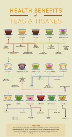 the health benefits of teas and tisanes infographical poster with instructions