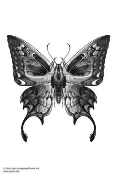 a black and white drawing of a butterfly