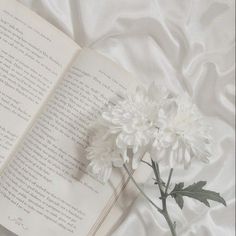 an open book with white flowers sitting on top of it