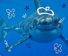 a great white shark swimming in the ocean with hearts drawn on it's back