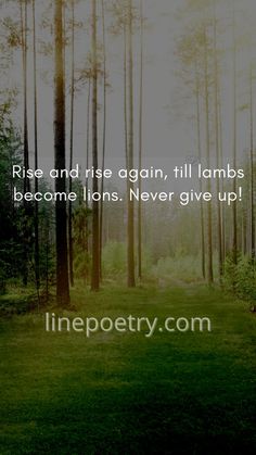 the words rise and rise again, till lambs become lions never give up