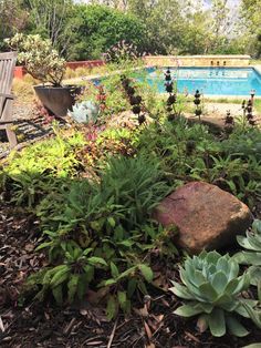 an empty pool surrounded by flowers and plants next to a wooden bench with a stone in the foreground