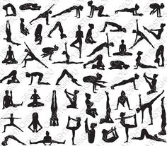 the silhouettes of people doing yoga poses