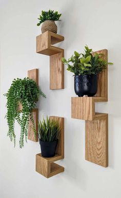 three wooden shelves with plants and potted plants on them, hanging from the wall