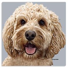 a close up of a dog's face on a gray background