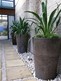 some plants are in large concrete pots on the side of a building with rocks and gravel