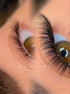 Eyelash Extensions Post Ideas, Eye Lash Art, Eye Lash Photography, Lash Design, Eyelash Salon, Lash Designer, Easy Photography Ideas, Lash Salon