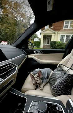 a dog is laying on a pillow in the back seat of a car with its head down