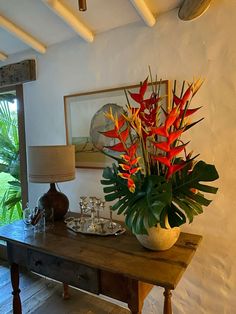 a living room with a large plant on the table and two lamps in front of it