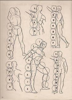 an image of a diagram of the human body with numbers and symbols on it's side