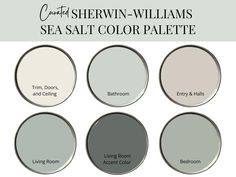 four different shades of gray paint with the words sea salt color palette on top and bottom