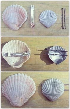 four seashells are arranged on a wooden table