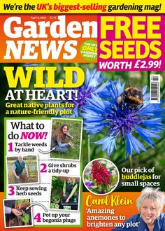 the front cover of garden news magazine, with an image of a blue flower on it