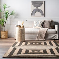 a living room with a couch, rug and potted plants