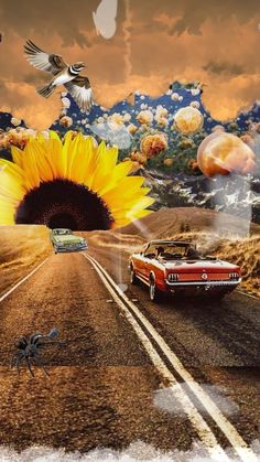 a car driving down a road next to a large sunflower and birds flying over it