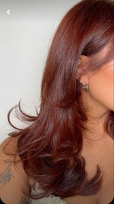 Rambut Brunette, Red Hair Inspo, Wine Hair, Ginger Hair Color, Cute Hairstyle, Hair Color Auburn, Auburn Hair, Dye My Hair, Hair Inspiration Color