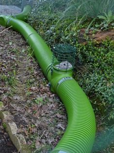 a green pipe laying on the ground next to some bushes