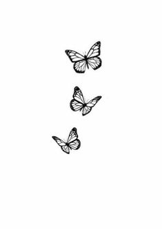 three butterflies flying in the air on a white background, one is black and the other is