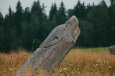 a large piece of wood sitting in the middle of a grass field with trees in the background