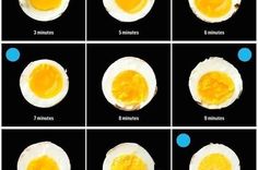 an image of different types of eggs in the middle of each egg, and what they look like