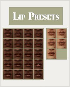 the lip presets are shown in different shades and sizes, including brown lipstick