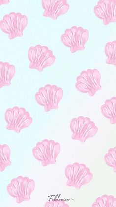 pink scallop flowers on a light blue background