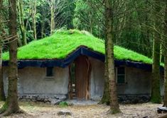 a small house with a green roof in the middle of some trees and grass on top