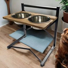 a dog sitting in front of a wooden table with two stainless steel bowls on it