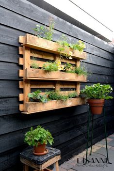 some plants are growing in wooden pallets on the side of a black building and there is a small stool next to it