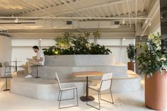 a man sitting at a table in an office with potted plants on the wall