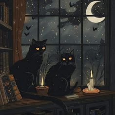 two black cats sitting on a window sill looking out at the night sky