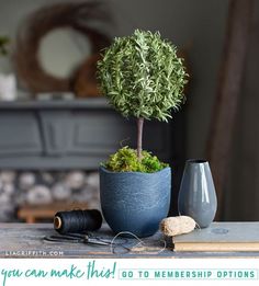 a potted plant sitting on top of a table next to a pair of scissors