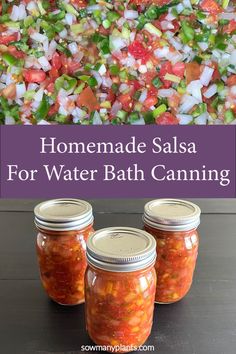 homemade salsa for water bath canning