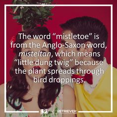 a couple kissing in front of a red background with the words, the word'mistetto is from the angio - saxon word, which means