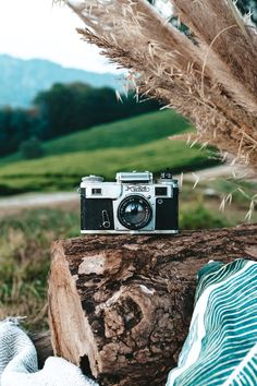 an old fashioned camera sitting on top of a tree stump in front of a field