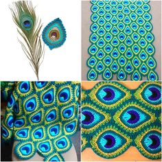 four different pictures with peacock feathers on them, one is green and the other is blue