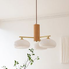 three light fixtures hanging from a ceiling in a room with white walls and green plants