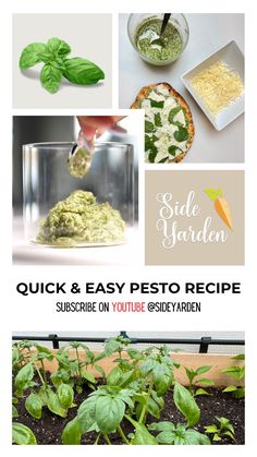 the instructions for how to make quick and easy pesto recipe with spinach leaves