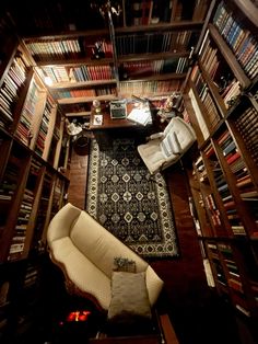 an overhead view of a living room with bookshelves and couches in it