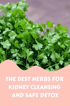 best herbs for kidney cleansing Kidney Stone Diet, Cleansing Herbs, Turmeric Uses, The Egg Diet, Medical Herbs