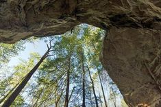 looking up into the sky from below in a forest with tall rocks and green trees