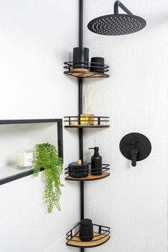 a bathroom with a shower head, soap dispenser and shelves