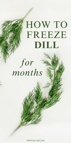 the cover of how to freeze dill for months, with green leaves on it