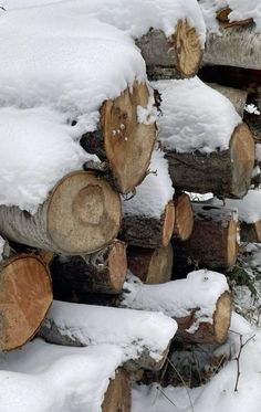 snow covered logs stacked on top of each other