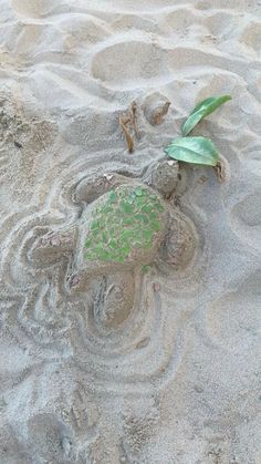 a small green turtle laying on top of a sandy beach next to a leafy plant